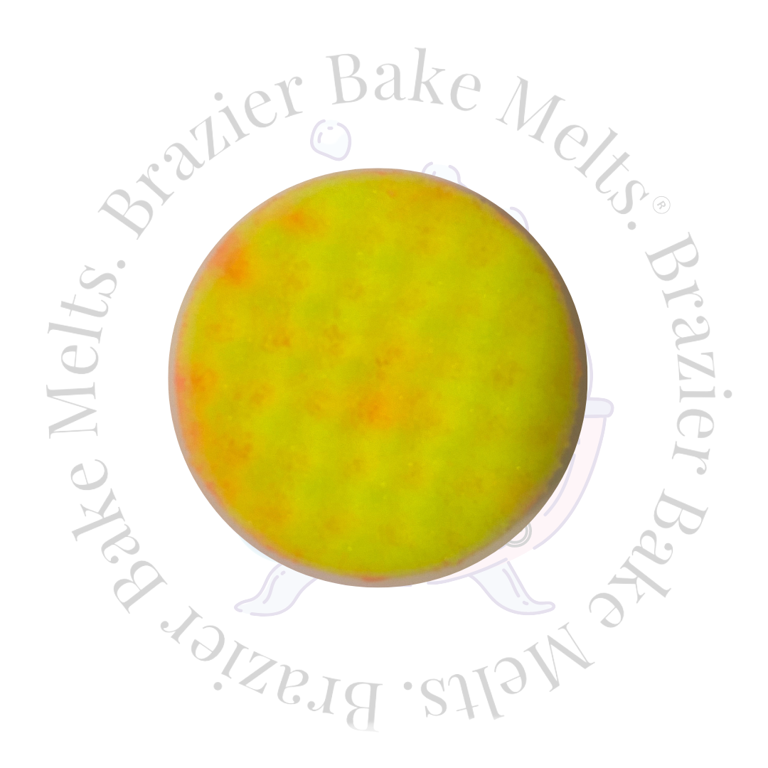 Fruit Salad Sweets Soap Sponge