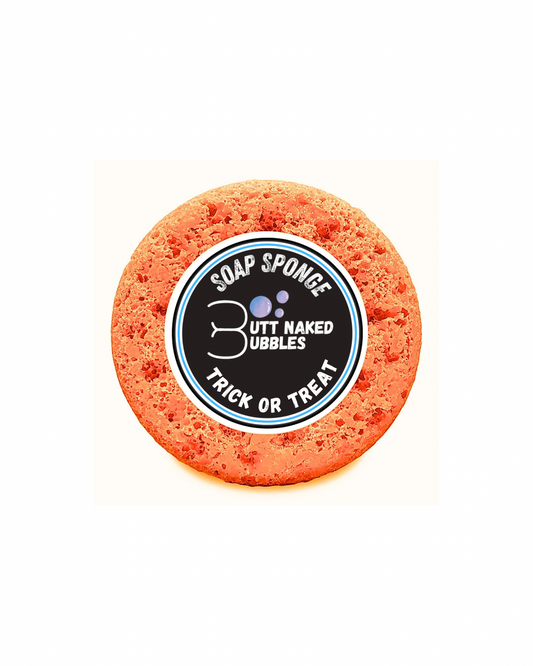 Trick or Treat Soap Sponge
